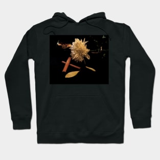 Chrysanthemum & Cinnamon 2 - Baroque Inspired Dark Still Life Photo Hoodie